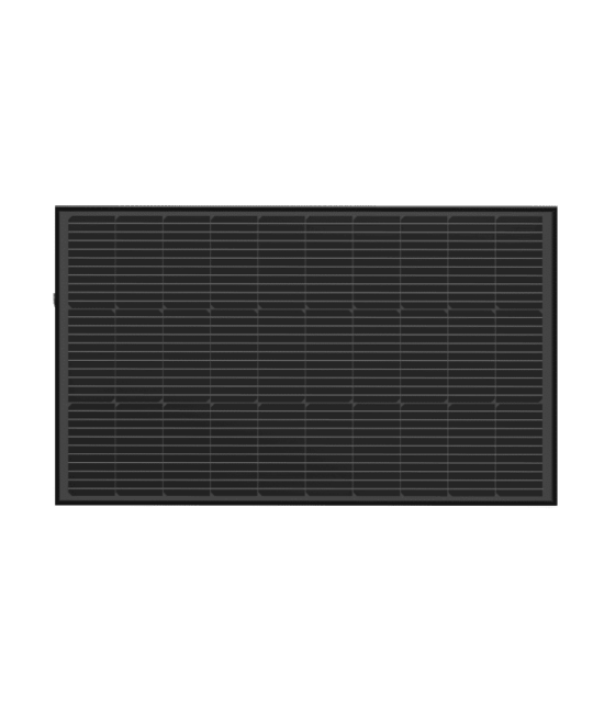 2 panneaux solaire rigide EcoFlow 100W