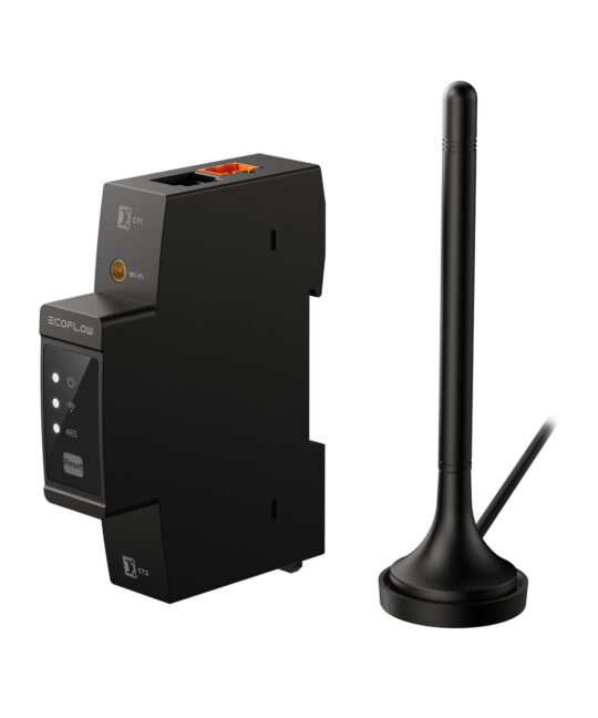 Compteur communiquant EcoFlow Dual CT
